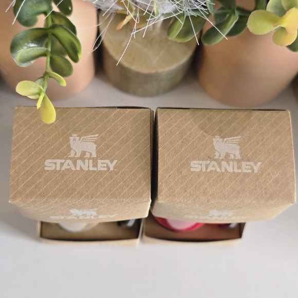 2 Stanley Ornament Keychains - Picture 2 of 4